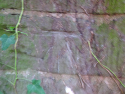 end of wall, between towpath & river